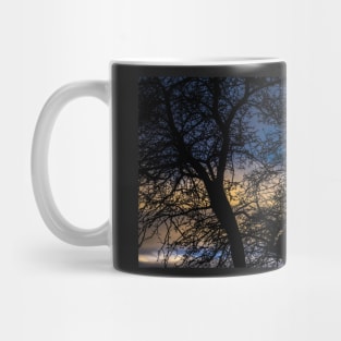 Urban Trees At Dusk Mug